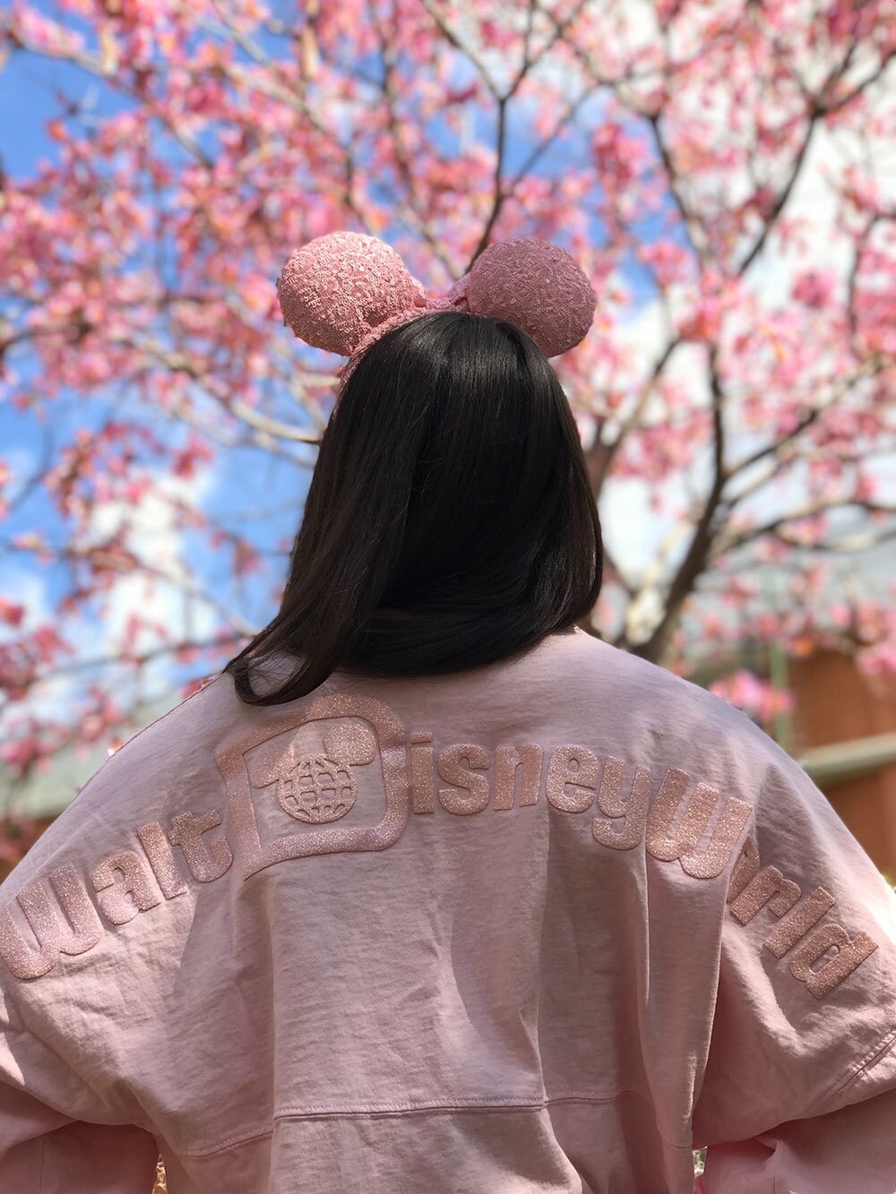 Walt Disney World baby soft pink Spirit Jersey long sleeve size XS oversized